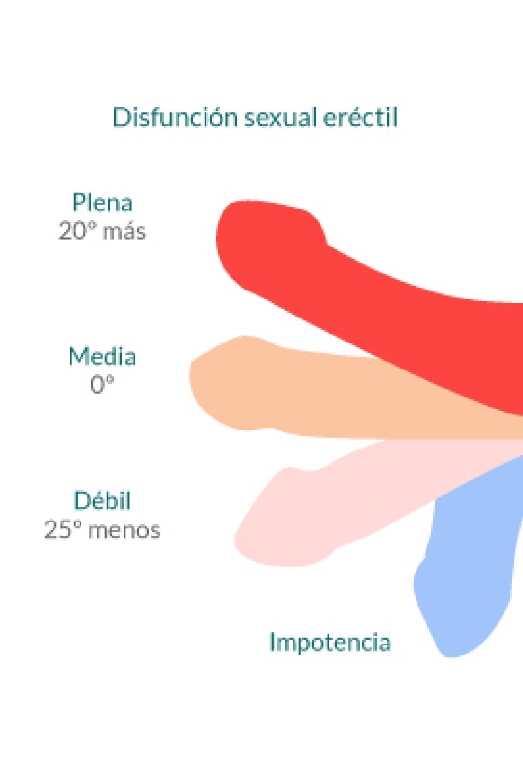 disfunción erectil
